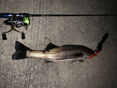 バチ抜けやっときたー！！！