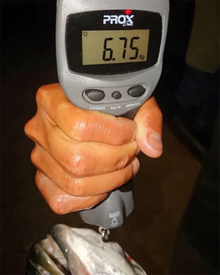 ジギング、初ブリ!