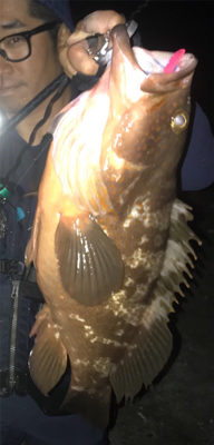 続  沖堤防青物チャレンジ