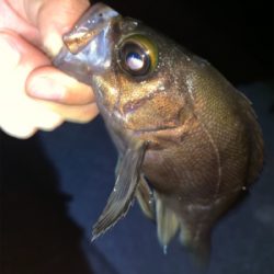 時間を忘れるくらい楽しかった