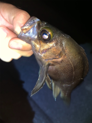 時間を忘れるくらい楽しかった