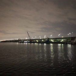 バチ抜け?シーバス