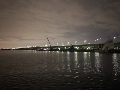 バチ抜け?シーバス