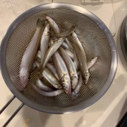 長浜海岸でキス