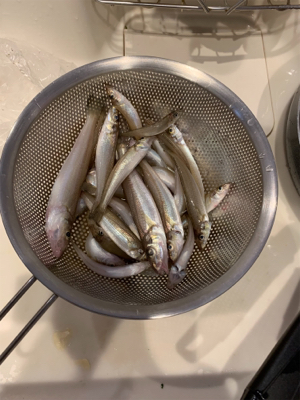 長浜海岸でキス