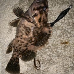 寝不足の日々(-_-)zzz