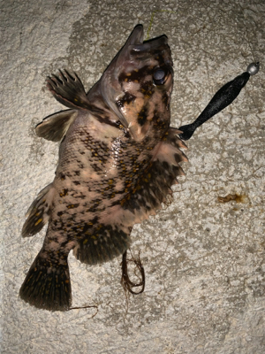 寝不足の日々(-_-)zzz