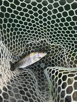 川場キングダムフィッシング