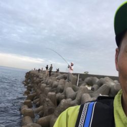 ナイトタケノコメバリングと朝まずめ青物!