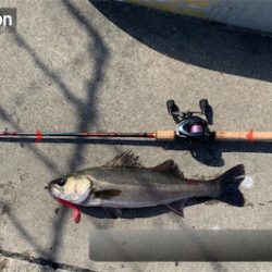 今日もしっかり♫