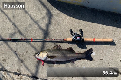 今日もしっかり♫