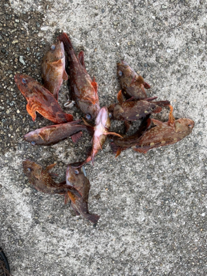 令和初の太刀！