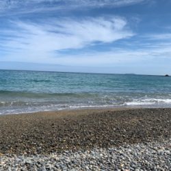 フラットフィッシュ釣果！