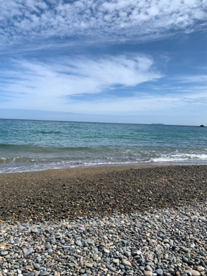 フラットフィッシュ釣果！