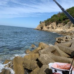 生里漁港フカセ