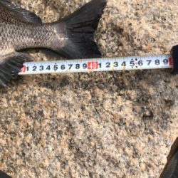 散々からの最高!