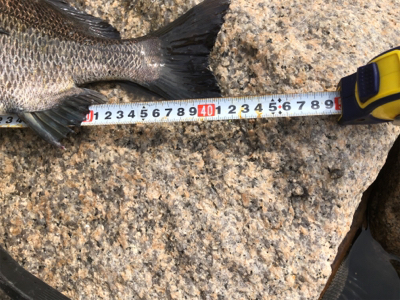 散々からの最高!