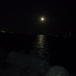 メバリング渋め…