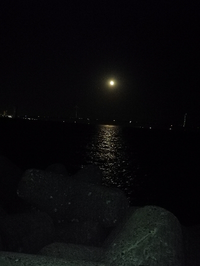 メバリング渋め…