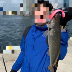 釣って釣らせて( ͡° ͜ʖ ͡°)