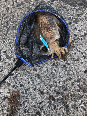 令和初！キロアップ！