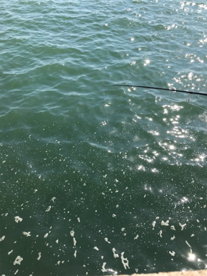 濁りがキツかった…