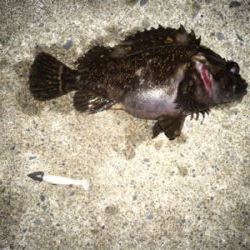 本日2回目の場所