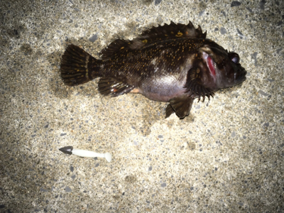 本日2回目の場所