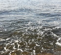 LSJigginger0600〜0730 1105〜1145