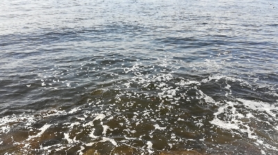 LSJigginger0600〜0730 1105〜1145