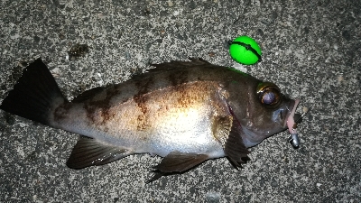 ナイトメバリング