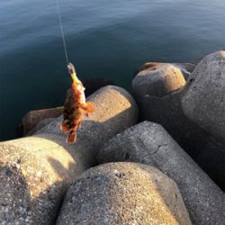 魚が釣りたくて