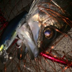 リズムウェーブ