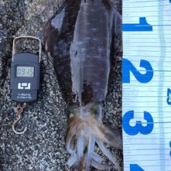 自己記録更新！2kgオーバーGET