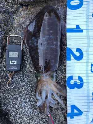 自己記録更新！2kgオーバーGET