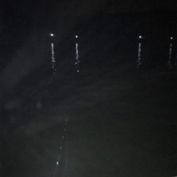 サーフでめで鯛