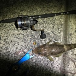 初ショアテンヤ