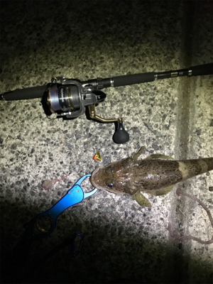 初ショアテンヤ