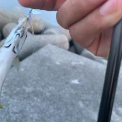 フロートアジンガー