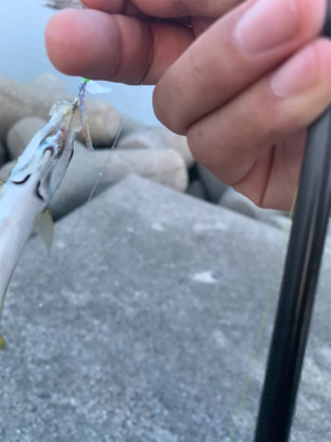 フロートアジンガー