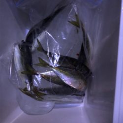 フロートアジング