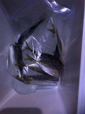 フロートアジング