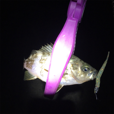 大阪湾奥アジング&ULSJ