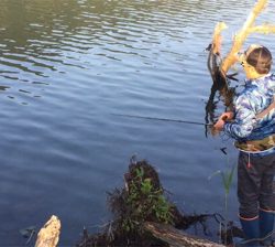 つりぴぃぽぉ釣果