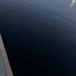 通りすがりラッキー♫