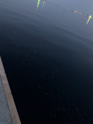 通りすがりラッキー♫