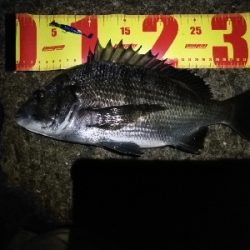 大雨の後の大荒れの中メバリング～