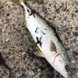 今、武庫一が熱い❗️