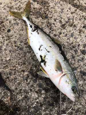 今、武庫一が熱い❗️