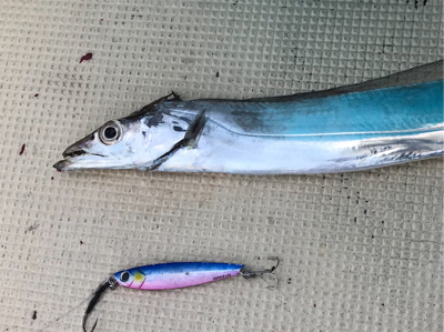 スーパーULジギング